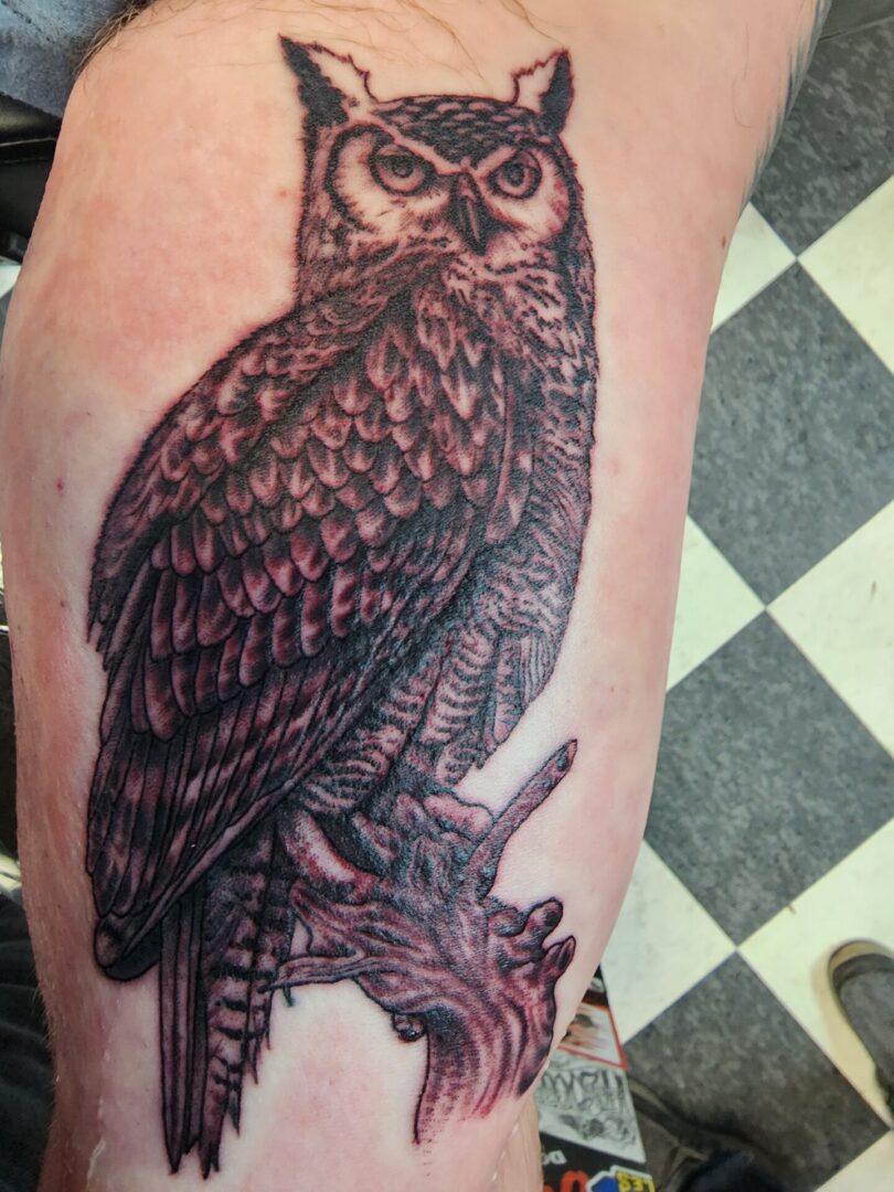 A beautiful owl as a shoulder tattoo